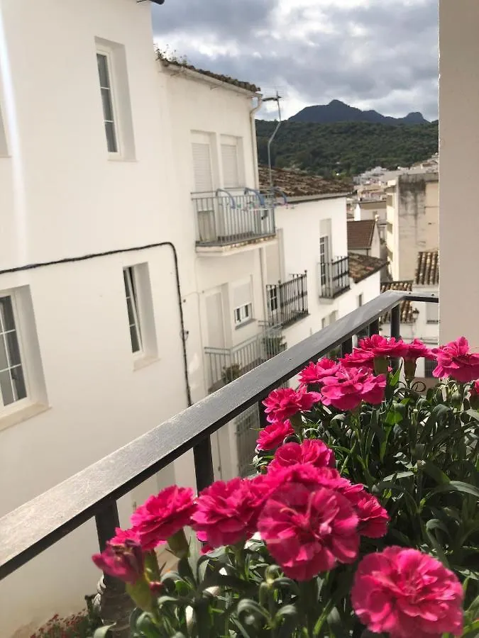 Apartamentos La Palma 乌夫里克 西班牙